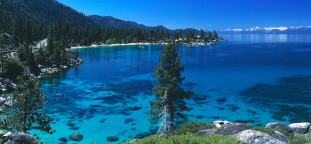 Quinissential Tahoe